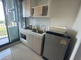 1 Bedroom Condo for rent at Connext, Talat Nuea, Phuket Town, Phuket