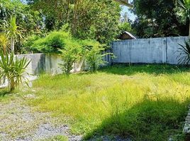 3 Schlafzimmer Villa zu verkaufen in Koh Samui, Surat Thani, Lipa Noi