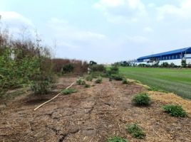  Land for sale in Khlong Khoi, Pak Kret, Khlong Khoi