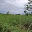  Land for sale in Prachuap Khiri Khan, Thap Tai, Hua Hin, Prachuap Khiri Khan