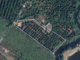  Land for sale in Thung Khwai Kin, Klaeng, Thung Khwai Kin