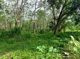  Land for sale in Thailand, Chalong, Phuket Town, Phuket, Thailand