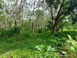  Land for sale in Phuket, Chalong, Phuket Town, Phuket