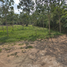  Land for sale in Koh Samui, Taling Ngam, Koh Samui