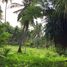  Land for sale in Lang Suan, Chumphon, Bang Nam Chuet, Lang Suan