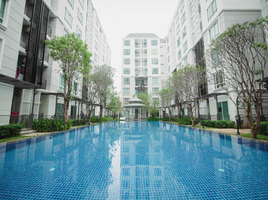 1 Schlafzimmer Wohnung zu vermieten im The Garden Condo, Talat, Mueang Surat Thani, Surat Thani