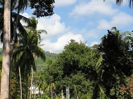  Grundstück zu verkaufen in Koh Samui, Surat Thani, Taling Ngam