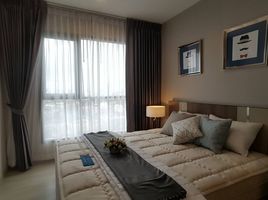 1 Schlafzimmer Wohnung zu vermieten im Life Sukhumvit 48, Phra Khanong, Khlong Toei, Bangkok