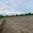  Land for sale in Nong Chang Uthai Thani, Nong Chang, Nong Chang