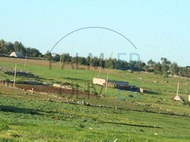  Grundstück zu verkaufen in El Jadida, Doukkala Abda, Azemmour