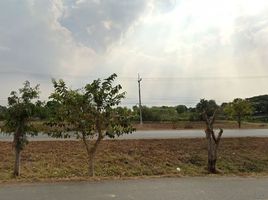  Grundstück zu verkaufen in Mueang Maha Sarakham, Maha Sarakham, Khwao