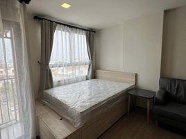 1 Schlafzimmer Wohnung zu vermieten im The Muve Bangna, Bang Na, Bang Na, Bangkok, Thailand