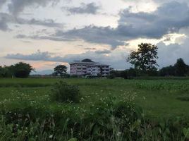  Land for sale in Mae Rai, Mae Chan, Mae Rai