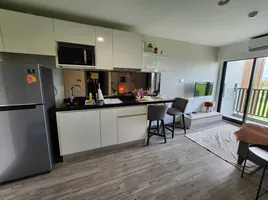 1 Schlafzimmer Wohnung zu vermieten im Dusit D2 Residences, Nong Kae, Hua Hin, Prachuap Khiri Khan, Thailand