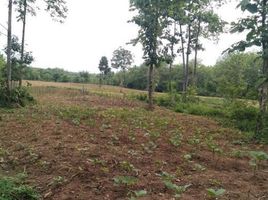  Land for sale in Nikhom Phatthana, Mueang Lampang, Nikhom Phatthana