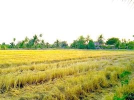  Land for sale in Bang Nam Priao, Chachoengsao, Bang Khanak, Bang Nam Priao