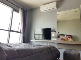 1 Schlafzimmer Wohnung zu vermieten im Life Sukhumvit 48, Phra Khanong