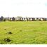  Land for sale at Valdivia, Mariquina, Valdivia