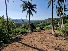  Grundstück zu verkaufen in Koh Samui, Surat Thani, Bo Phut