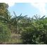  Land for sale in Limeira, Limeira, Limeira