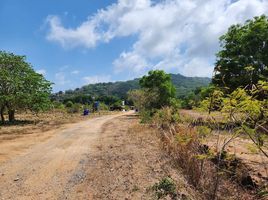 ขายที่ดิน ใน เมืองภูเก็ต ภูเก็ต, ราไวย์, เมืองภูเก็ต, ภูเก็ต