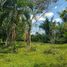  Grundstück zu verkaufen in Presidente Figueiredo, Amazonas, Presidente Figueiredo