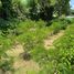  Land for sale in AsiaVillas, Mae Faek Mai, San Sai, Chiang Mai, Thailand