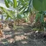  Land for sale in Phasi Charoen Bangkok, Bang Waek, Phasi Charoen