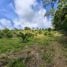  Land for sale in Takua Thung Phangnga, Khlong Khian, Takua Thung, Phangnga