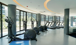 写真 2 of the Communal Gym at Kave AVA