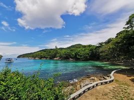  Land for sale in Phuket, Rawai, Phuket Town, Phuket