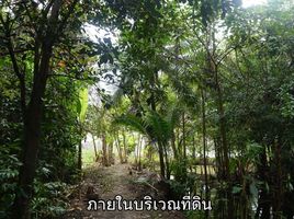  Land for sale in Tha Kham, Sam Phran, Tha Kham