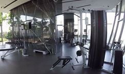 รูปถ่าย 3 of the Communal Gym at เฮชคิว บาย แสนสิริ