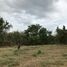  Land for sale in Sam Ngao, Sam Ngao, Sam Ngao