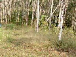  Land for sale in Sawi, Chumphon, Khron, Sawi