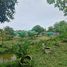  Land for sale in Pathum Thani, Khlong Ha, Khlong Luang, Pathum Thani