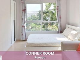 1 Schlafzimmer Appartement zu vermieten im Plum Condo Bangkae, Bang Khae Nuea