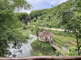  Grundstück zu verkaufen in Ko Yao, Phangnga, Ko Yao Noi