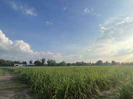  Grundstück zu verkaufen in Mueang Kamphaeng Phet, Kamphaeng Phet, Nai Mueang