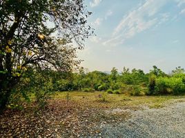  Land for sale in Wat Phra That Si Chom Thong, Ban Luang, 