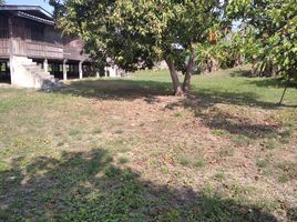 2 Bedroom House for sale in Mueang Chon Buri, Chon Buri, Nong Ri, Mueang Chon Buri