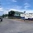  Grundstück zu verkaufen in Mueang Samut Sakhon, Samut Sakhon, Bang Ya Phraek, Mueang Samut Sakhon