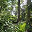  Land for sale in Perez Zeledon San Jose, Perez Zeledon, San Jose