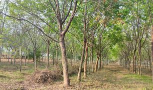 N/A Land for sale in Na Mafueang, Nong Bua Lam Phu 