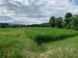  Land for sale in San Sai, Chiang Mai, Nong Chom, San Sai