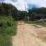  Land for sale in Cape Yamu Beach, Pa Khlok, Pa Khlok