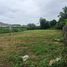  Land for sale in Don Kaeo, Saraphi, Don Kaeo