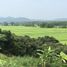  Land for sale in Mae Taeng, Chiang Mai, Mae Taeng, Mae Taeng