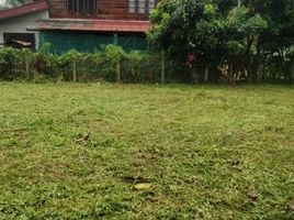  Land for sale in Phrao Hospital, Wiang, Wiang