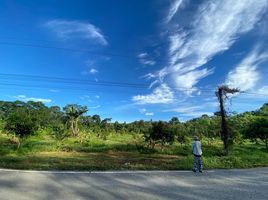  Grundstück zu verkaufen in Pa Phayom, Phatthalung, Lan Khoi, Pa Phayom